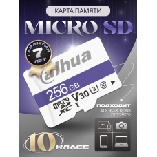 Карта памяти MicroSD 256Гбайт DAHUA DHI-TF-C100/256GB Карта памяти MicroSD 256Гбайт DAHUA DHI-TF-C100/256GB