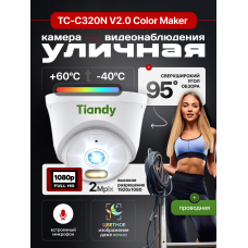 Видеокамера купольная с цветной ночной съёмкой Tiandy TC-C320N V2.0 Color (2Мп, 2.8mm) Видеокамера купольная с цветной ночной съёмкой Tiandy TC-C320N V2.0 Color (2Мп, 2.8mm)